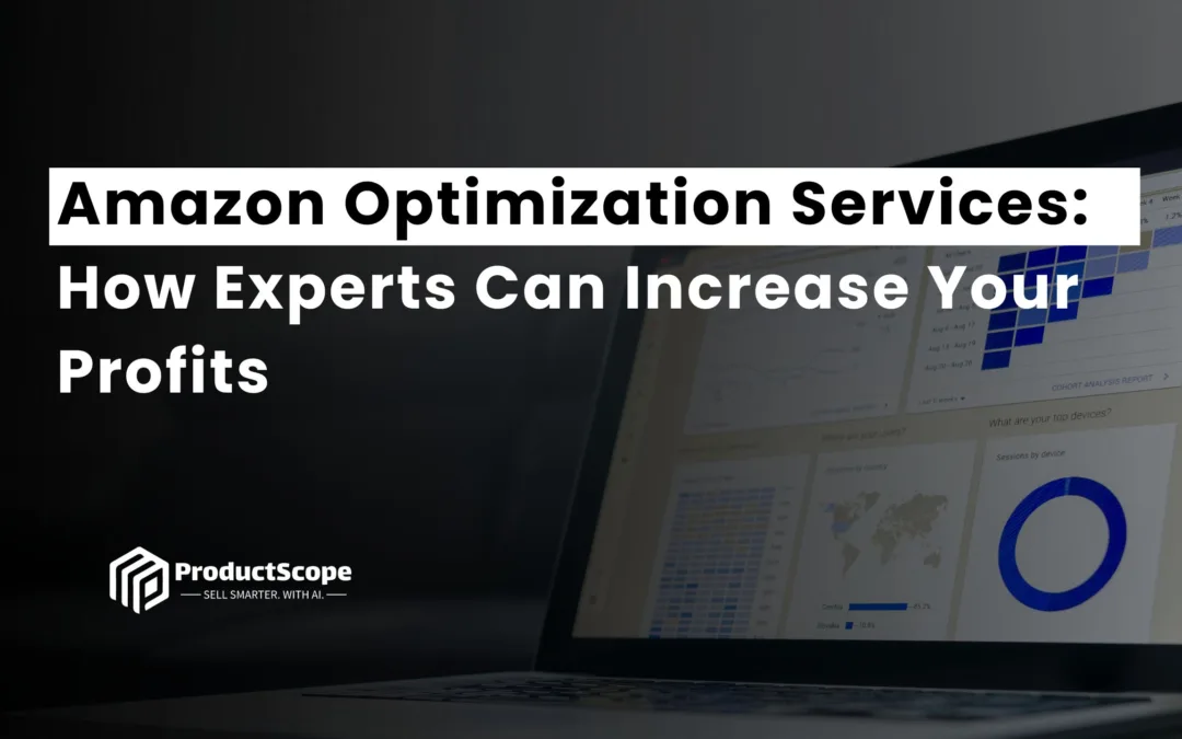 Amazon Optimization Services: How Experts Can Increase Your Profits