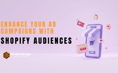 Enhancing Ad Campaigns with Shopify Audiences