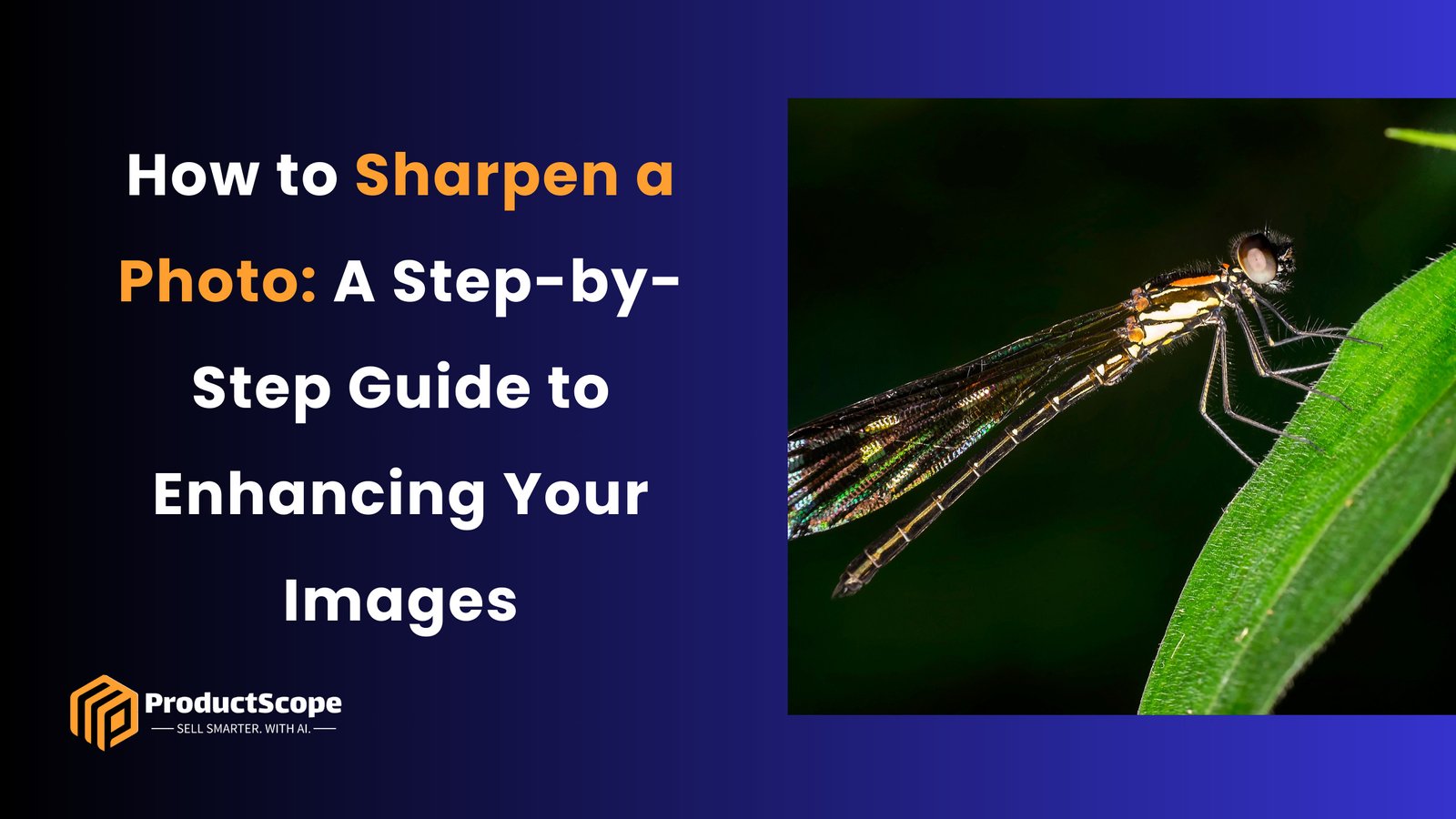 How to Sharpen a Photo: A Step-by-Step Guide to Enhancing Your Images